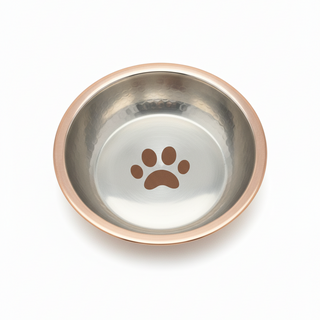 Stainless steel pet bowl with a brown paw print on a white background