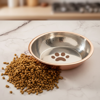Pet food bowl with paw print design on a marble surface
