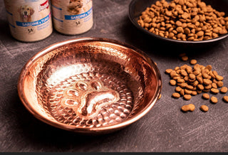 Copper Pet Feeding Bowl Food Container | Handcrafted Stylish 100% Copper Pet Water Bowl 170 mm - Alfiq's Store