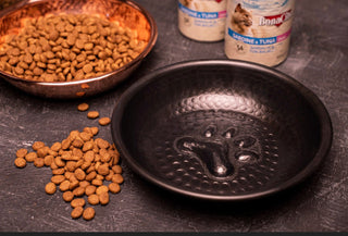 Copper Pet Feeding Bowl Food Container | Handcrafted Stylish 100% Copper Pet Water Bowl 170 mm - Alfiq's Store