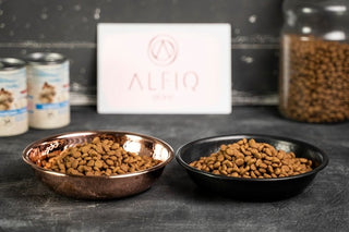 Copper Pet Feeding Bowl Food Container | Handcrafted Stylish 100% Copper Pet Water Bowl 170 mm - Alfiq's Store