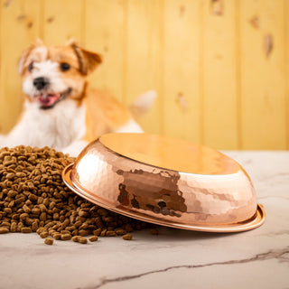 Handcrafted Small Copper Pet Bowl with Bone Motif – Hammered Finish - Alfiq's Store