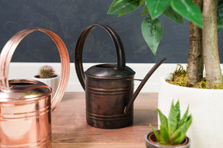 Handcrafted Small Copper Watering Can – Artisan - Made Planter Pot for Indoor & Outdoor Gardening - Alfiq's Store