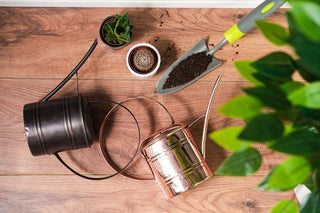 Handcrafted Small Copper Watering Can – Artisan - Made Planter Pot for Indoor & Outdoor Gardening - Alfiq's Store