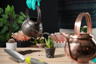 Handmade Patina Copper Watering Can | Artisan - Made Copper Planter Pot for Stylish Indoor & Outdoor Gardening - Alfiq's Store