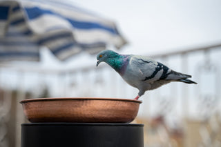 Handmade Solid Copper Bird Bath Bowl | Hammered 100% Pure Copper Bird Feeder | Copper Yard Art Ornament 10" x 10" - Alfiq's Store