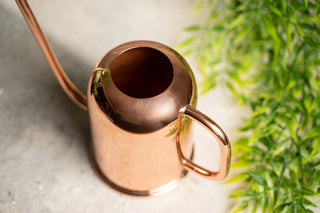 Solid Copper Indoor Watering Can
